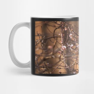 Spring is awakening, everything is blooming Mug